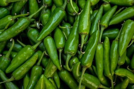Green chilli peppers for sale at street market. Green Chillis freshly plucked at the farm. fresh produce market with close-up view of pile of green chilli peppersの写真素材