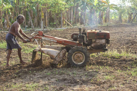 Old Perungalathur, Chennai, India. 25-April-2020: Framer Handing Mini tractor on the field and Planting root crops for agricultural harvest & cultivate in the urban area.Tiller tractor.のeditorial素材