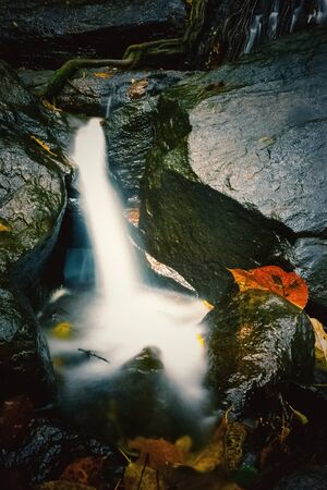 small water falls on long exposure shot. White milky water falling on the river with leas.の写真素材