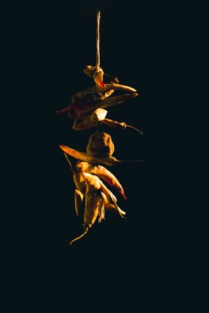 Dry Lemon and red Chilies tied with thread and tied for hanging on doors isolated on black...