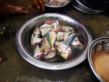 Fresh Raw Fish cutting on close-up . Woman cutting raw fish in home for lunch . Making of Seafood meal.の写真素材