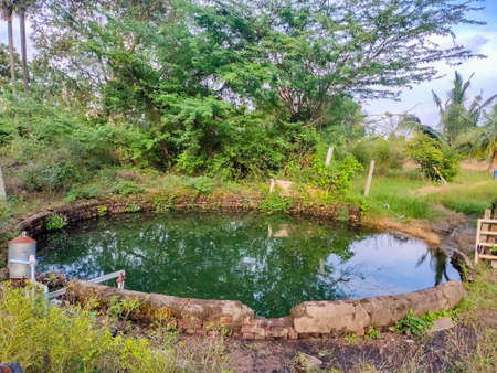 Water Well Stock Image. Village Ground Level Over Flow Water Well for Agriculture.の写真素材