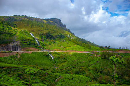 Munnar Tea plantation. Best Tea plants In Munnar, Kerala, India.の写真素材