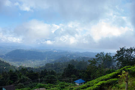 Munnar City and Mountanin View. Tea plantation Area. Best Tea plants In Munnar, Kerala, India.の写真素材