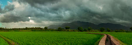 Beautiful Agricultural Landscape With Background Western Ghat Mountains with Dark Rainy Clouds in India. South India Landscapesの写真素材
