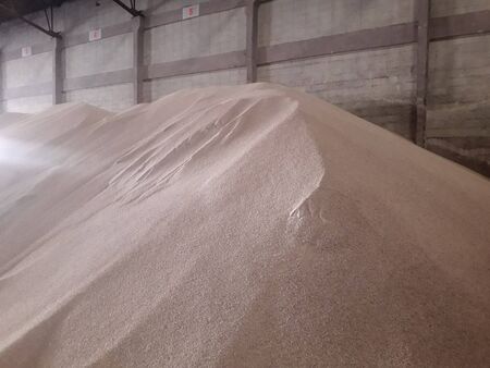 Chemical fertilizer piles in the warehouse are waiting for the delivery of the type of bulk.の写真素材