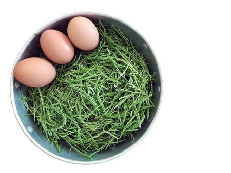 Acacia pennata and chicken eggs on White  Background border to prepare food.