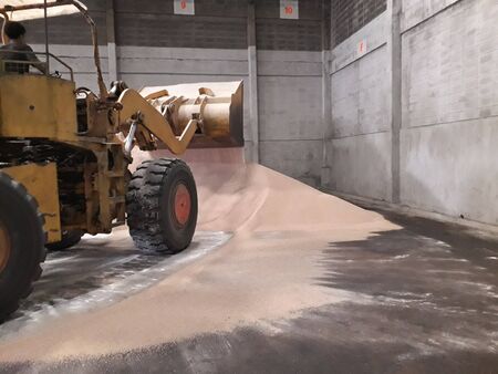 Orange loaders and large Cream color urea fertilizer in the warehouse.