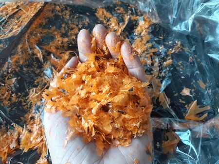 Orange plastic degradable waste bags A large number of small pieces in the hand To help stop using plastic bags, the background is blurry.の写真素材