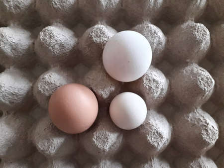 Chicken eggs laid on Egg holder background. To cook a variety of food, including savory food, sweet...