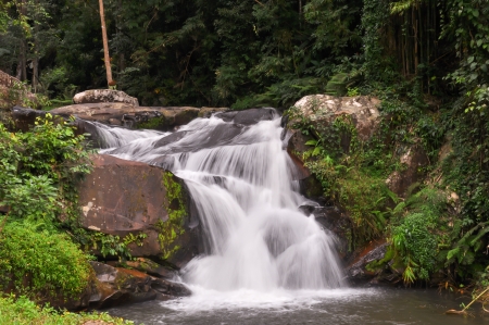 Waterfall in forestの写真素材