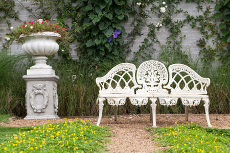 metal garden chair in the gardenの写真素材