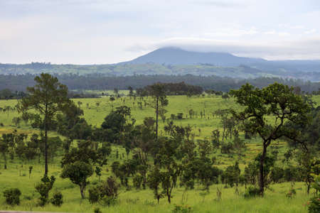 Beautiful mountain scenery at Thung Salang Luang National Park ; Phetchabun,Thailan