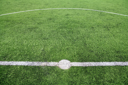Soccer field grass