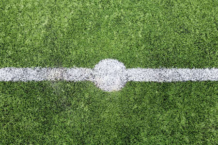 Soccer field grass