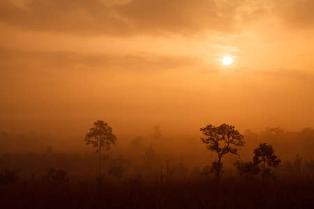 misty morning sunrise in the mountains in Phetchabun ,Thailandの写真素材