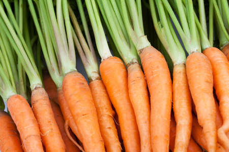 fresh carrot