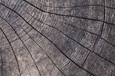 wooden backgroundの写真素材
