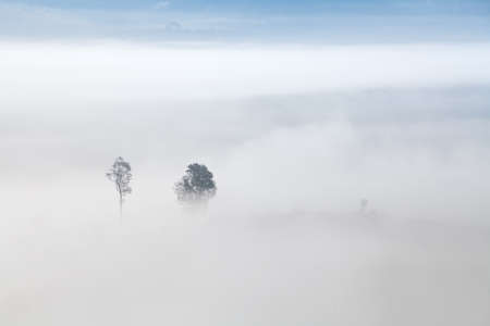 Morning mist at Khao-kho Phetchabun,Thailandの写真素材