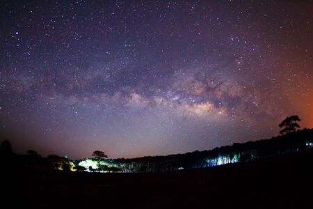 Silhouette of Tree and Milky Way