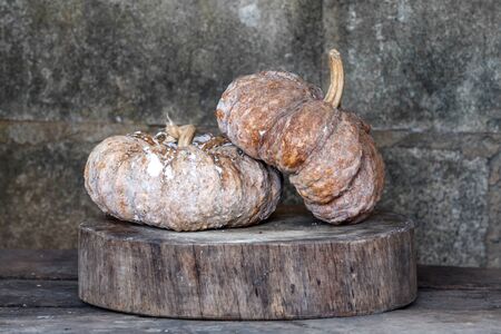 pumpkinの写真素材