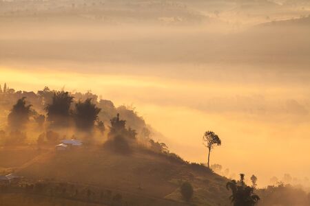 misty morning sunrise in mountain at Khao-kho Phetchabun,Thailand
