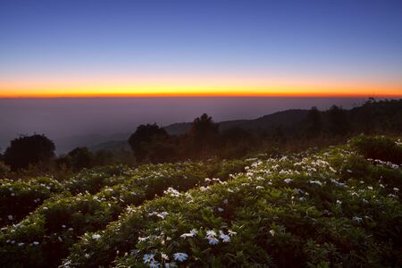 Beautiful twilight time.Morring sunrise at Huai Nam Dang National Park, Chiang Mai, Thailandの写真素材