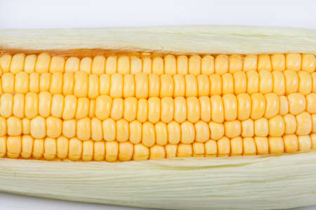 Sweet corn