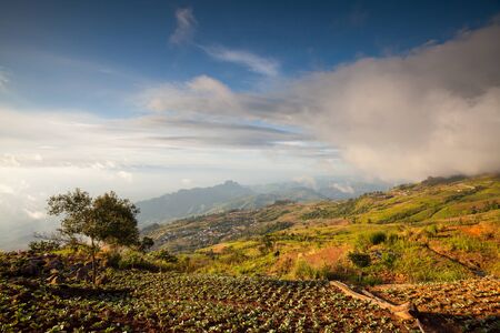 Beautiful mountain scenery in Phutabberk Phetchabun, Thailand