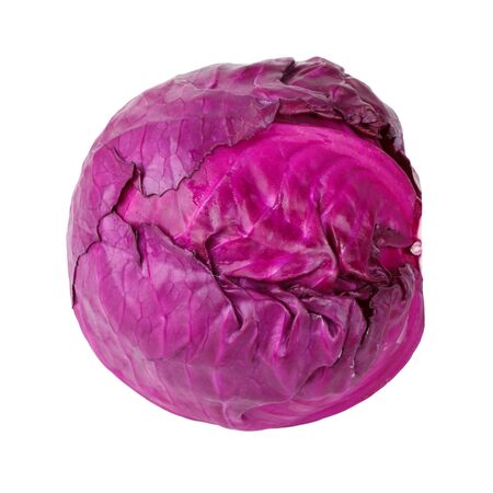 red cabbageの写真素材