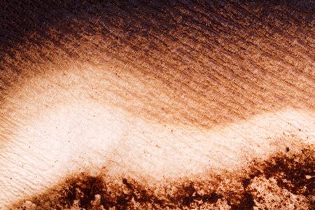 Coffee absorbed on paper backgroundの写真素材