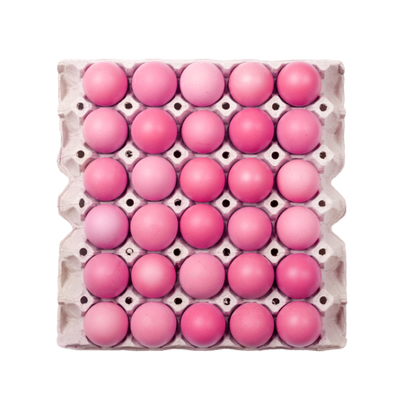 Pink eggs in paper trayの写真素材