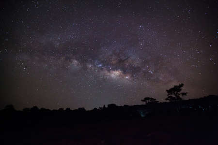 Milky Way andSilhouette of Tree at Phu Hin Rong Kla National Park,Phitsanulok Thailand. Long exposure photograph.with grainの写真素材