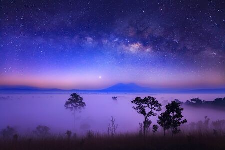 Milky way and fog at Thung Salang Luang National Park Phetchabun,Thailandの写真素材
