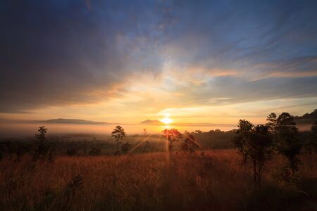 Misty morning sunrise at Thung Salang Luang National Park Phetchabun,Thailandの写真素材