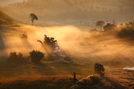 fog in morning sunrise at Khao Takhian Ngo View Point, Khao-kho Phetchabun,Thailandの写真素材