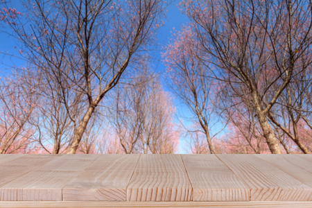 brown wood table top on Sakura flowers blooming blossom background - can be used for montage or display your productsの写真素材