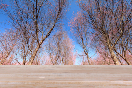 brown wood table top on Sakura flowers blooming blossom background - can be used for montage or display your productsの写真素材