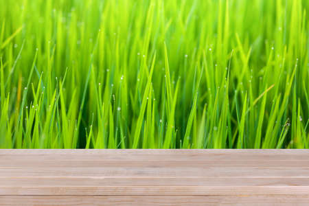 brown wood table top on bokeh abstract green nature background - can be used for montage or display your productsの写真素材
