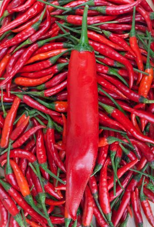 red chili or chilli cayenne pepperの写真素材