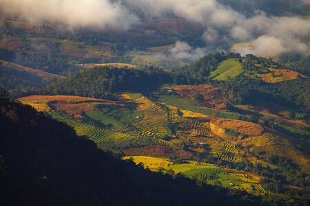 green terraced rice field at Ban Pa Bong Peay in Chiangmai, Thailandの写真素材