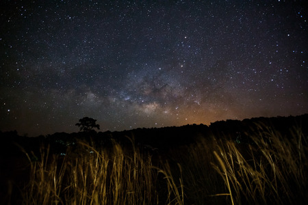 Milky Way Galaxy and Silhouette of Tree with cloud.Long exposure photograph.With grain