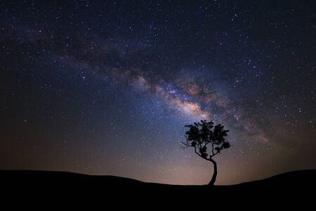 Landscape silhouette of tree with milky way galaxy and space dust in the universe, Night starry sky with stars の写真素材