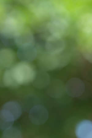 Abstract circular bokeh nature background of lightの写真素材
