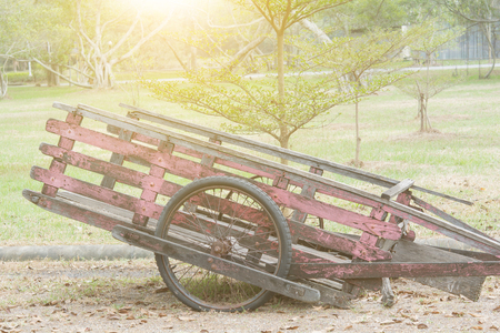 old wooden cart in gardenの写真素材