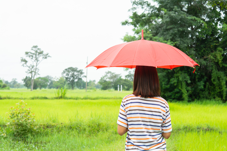 Woman with red  umbrella And green rice fields.の写真素材