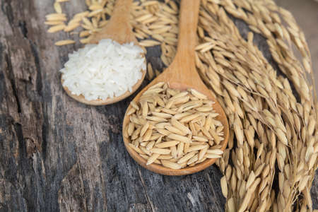 Grain and rice on wood tableの写真素材