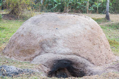 Thai Burning wood in the soilの写真素材