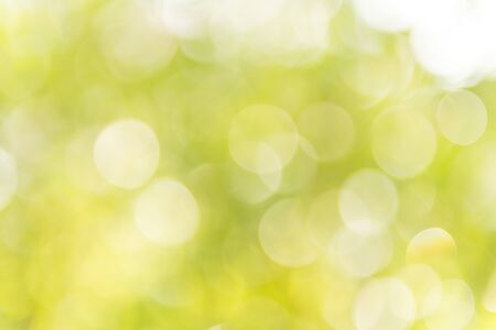 The green bokeh backgroundの写真素材