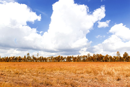 The blue sky and white cloudの写真素材